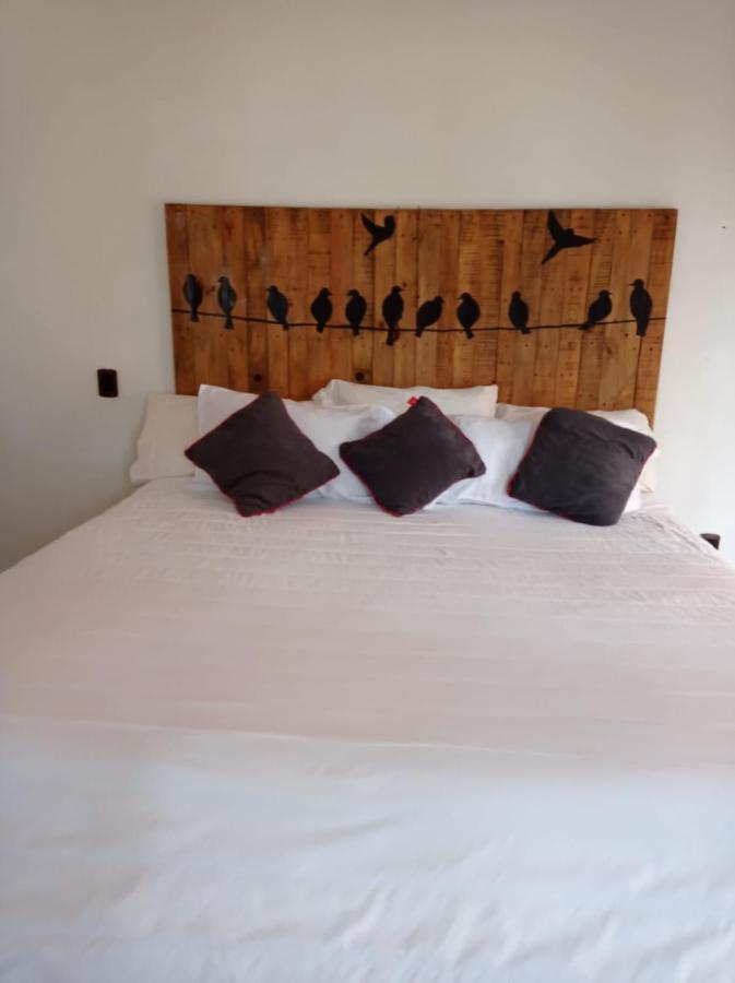 Hotel Cabanas Azul Tequilana Arandas ภายนอก รูปภาพ